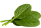 Leaf badge