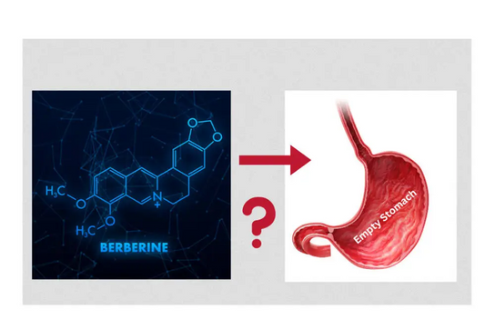 Can You Take Berberine On An Empty Stomach? | A Likely No!